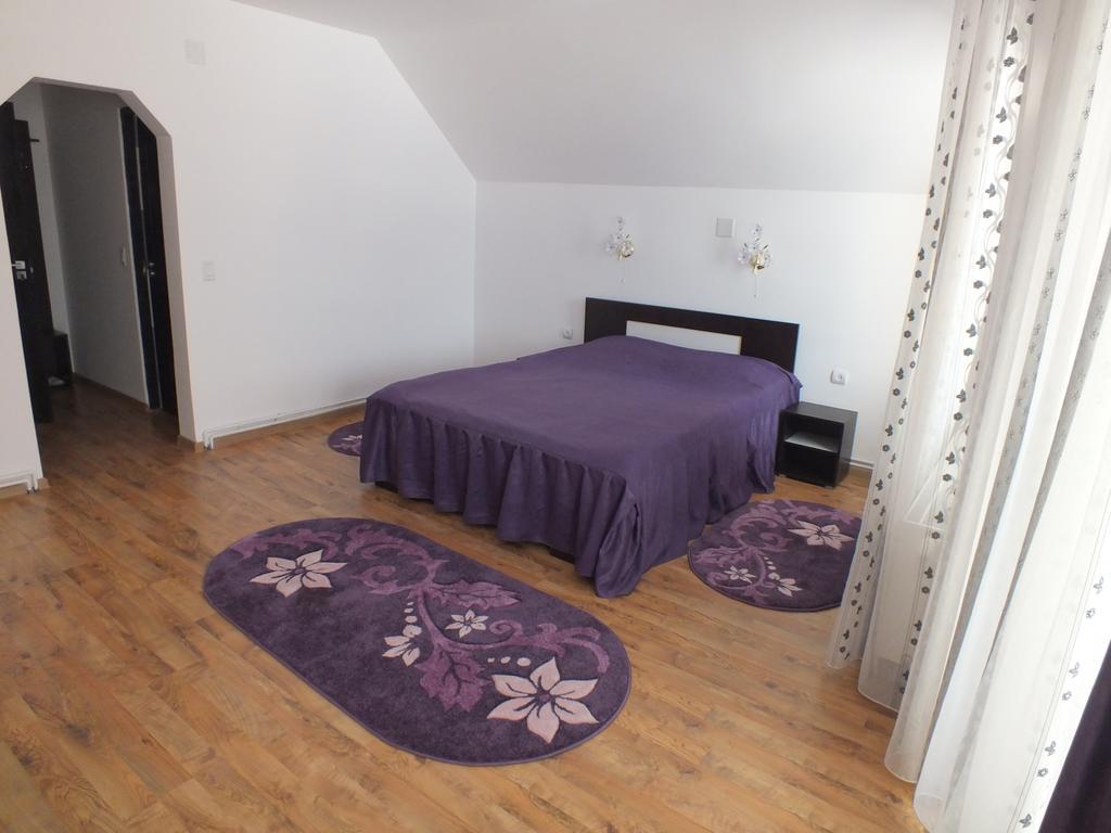 Pensiunea Eliza Hotel Podu Cosnii Room photo