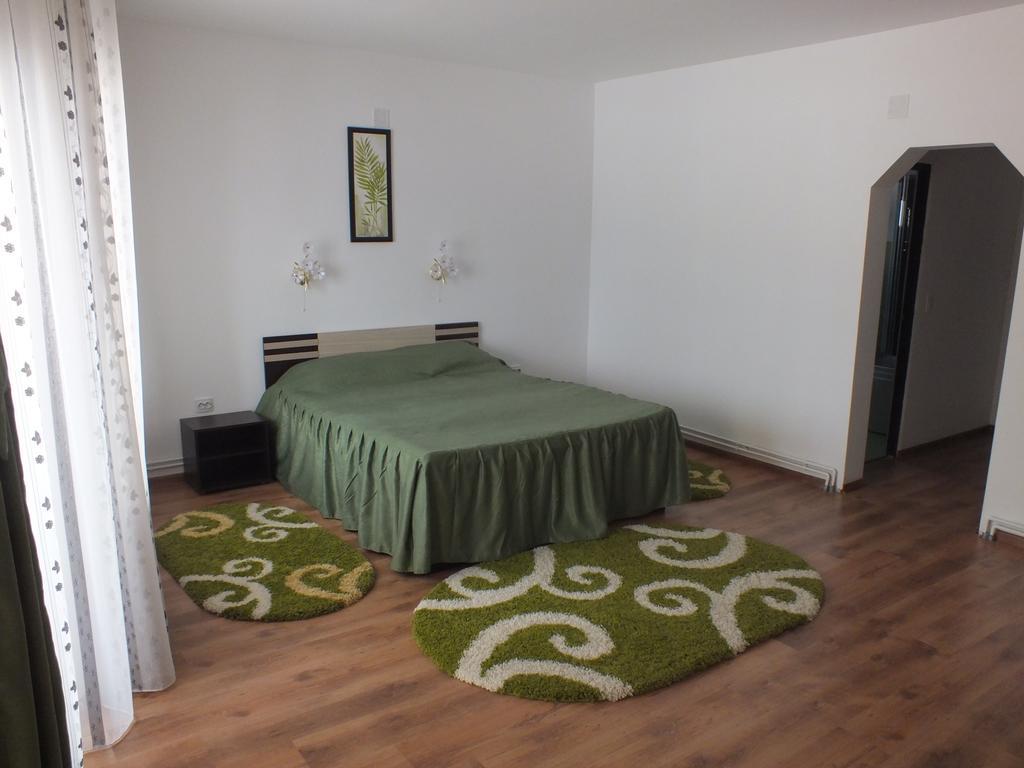 Pensiunea Eliza Hotel Podu Cosnii Room photo
